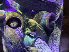 -太平洋海底世界