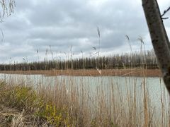 -泗洪洪泽湖湿地景区