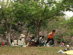 -聚龙山公园