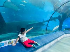 -福州罗源湾海洋世界旅游区