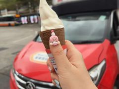 -富豪雪糕车流动点(尖沙咀店)