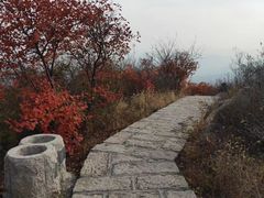 -北京凤凰岭