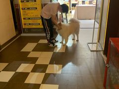 -肆兮眼镜·蔡司·徕卡战略合作店(大坪店)