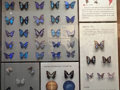 -天津自然博物馆