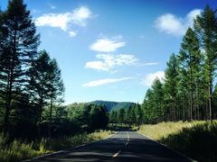 -塞罕坝国家级自然保护区