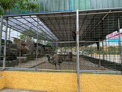 -八景休閒山莊  廣東十大名山莊