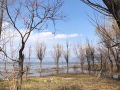 -大理洱海