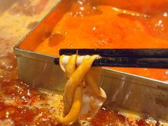 -红鼎坊·老成都火锅(新南门店)