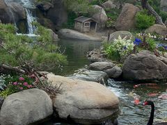 -罗红摄影艺术馆