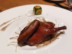-广州富力君悦大酒店空中花园