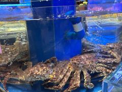 -新海渔港·胶东海鲜家常菜·家宴(奥体中心店)