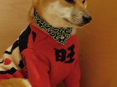 -悟白咖啡WoobyCafe