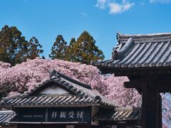 -醍醐寺