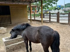 -北京市海淀外国语实验学校