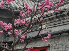 -元大都城垣遗址公园