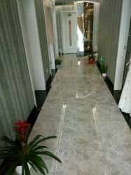 -佐登妮丝美容SPA生活馆