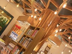 -小桂林烧鸽子