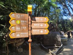 -云南勐巴娜西珍奇园