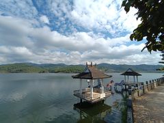 -正宗杨记普洱酸醋米线(总店)