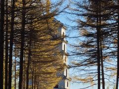 -玉龙沙湖景区
