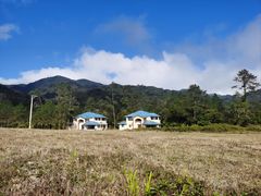 -海南热带雨林国家公园吊罗山景区