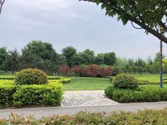 -洨河生态公园