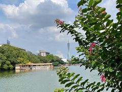 -东山湖公园