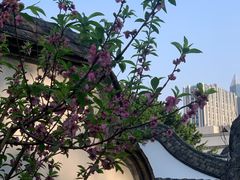 -乌山风景区