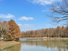 -上海海湾国家森林公园