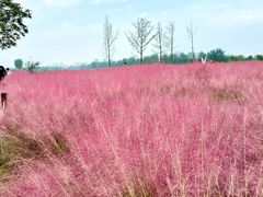 -汉长安城未央宫国家考古遗址公园