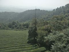 -敬亭山风景名胜区