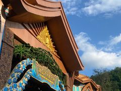 -西双版纳原始森林公园