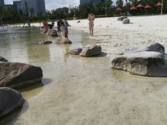 -大宁郁金香公园-停车场