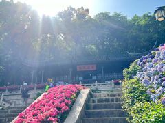 -苏州上方山国家森林公园