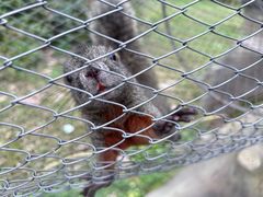 -合肥滨湖国家森林公园