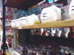 -猫咪博物馆(顶澳仔猫街店)