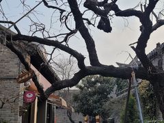 -回龙窝历史文化街区