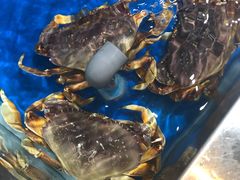 -盒马鲜生(首义店)