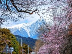 -卡定沟景区