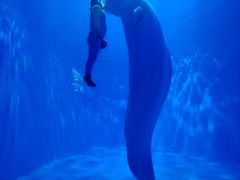 -多彩贵州城极地海洋世界