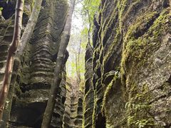 -梭布垭石林景区