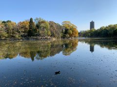 -北京大学赛克勒考古与艺术博物馆