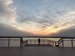 -丁香湖公园