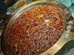 -雲蜀龙阁·金牌水煮鱼(方庄店)