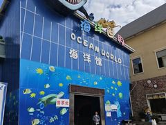 -石林冰雪海洋世界