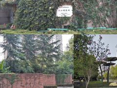 -毛泽东同志旧居