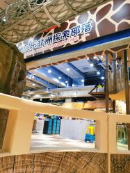 -鲁比猴非洲探索部落(喜盈门店)