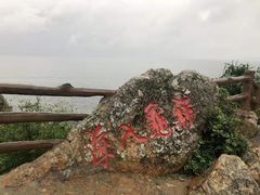 -杨梅坑