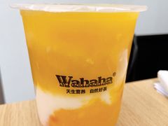 -娃哈哈·奶茶(武林店)