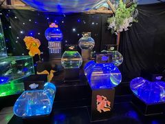 -海合安青岛极地海洋公园